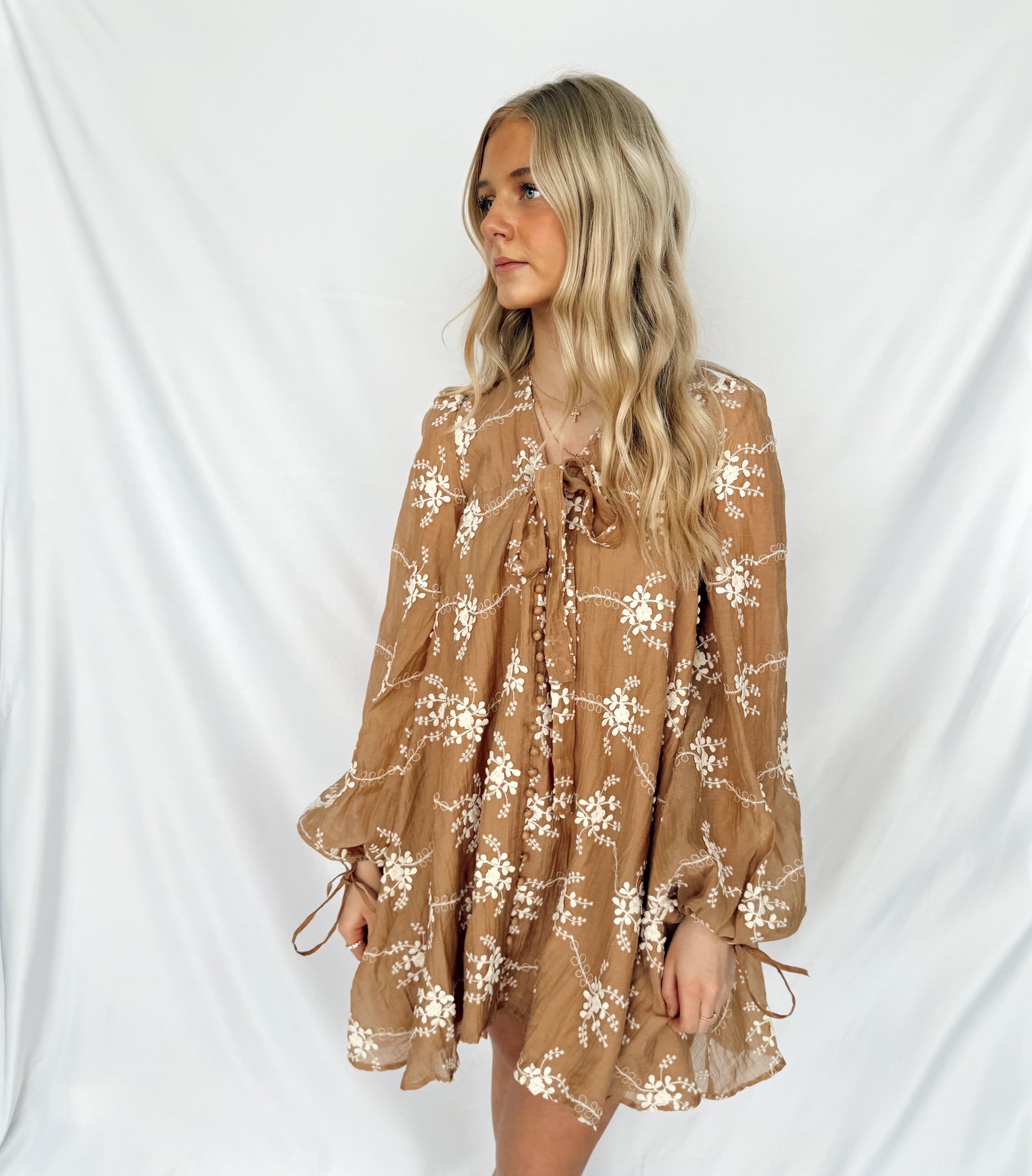 Embroidered Long Sleeve Mini Dress