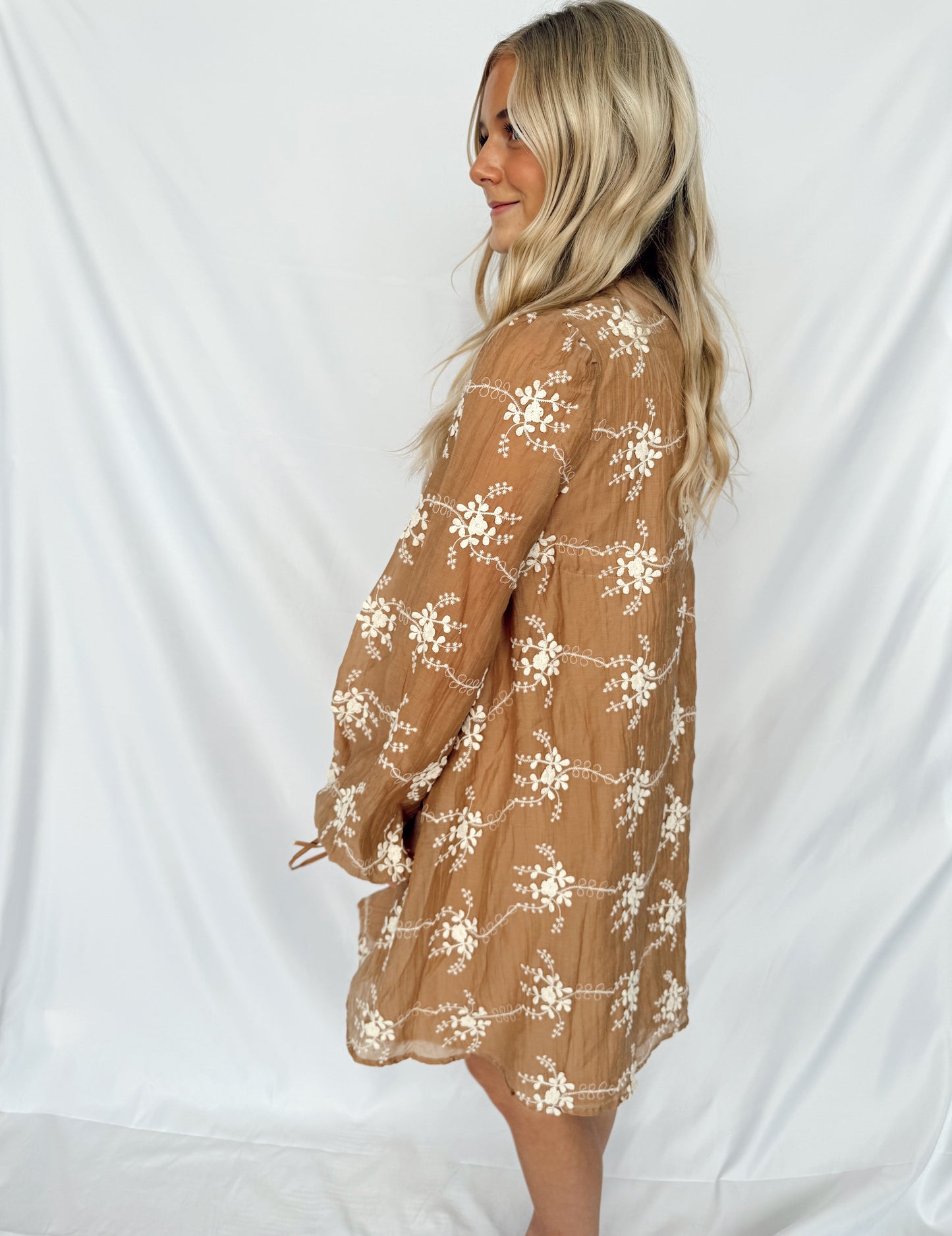 Embroidered Long Sleeve Mini Dress